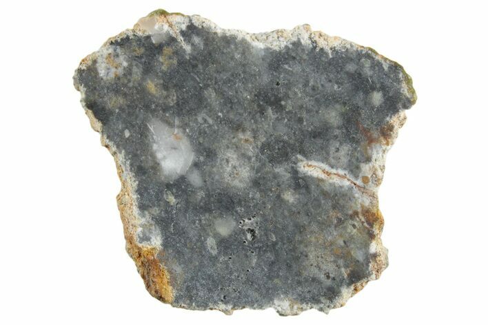 Lunar Meteorite ( g) Slice - Bechar #348167